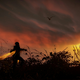 Image for article titled Real PS4 Screenshots Justify All That 'Next-Gen' Hype